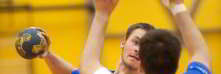 Bild Handball Foto vom Handball