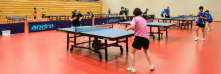 Bild Tischtennis Foto vom Tischtennis